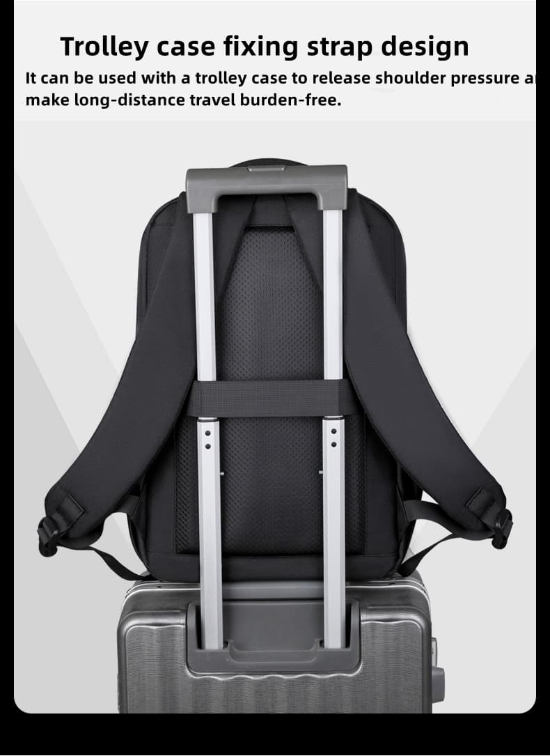 BLH-3602 Trolley case fixing strap design