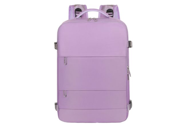 ZWX-WP Purple Business Backpack With USB Charging