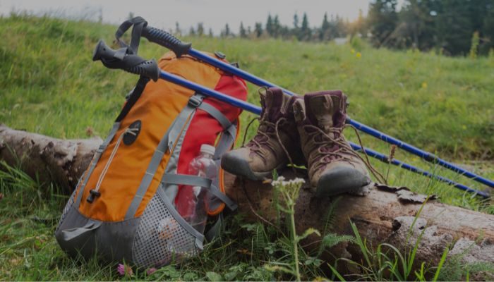 Trekking Poles