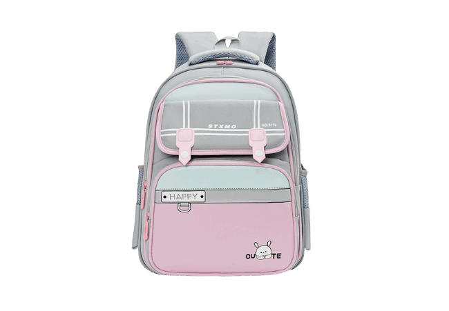 Stylish Gray And Pink Kids Backpacks